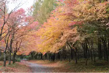 旭川ダム公園