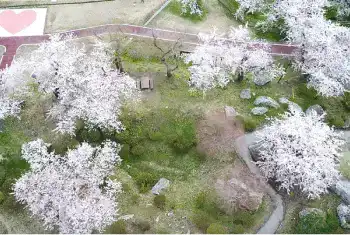 きみまち阪県立自然公園